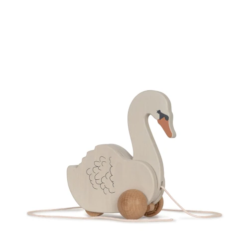 SWAN.webp