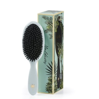 Fan Palm Hair Brush Medium Maldives